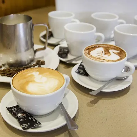 Carlos 96 فندق *