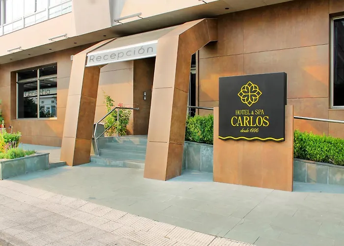 & Carlos Desde 1996 * Melide