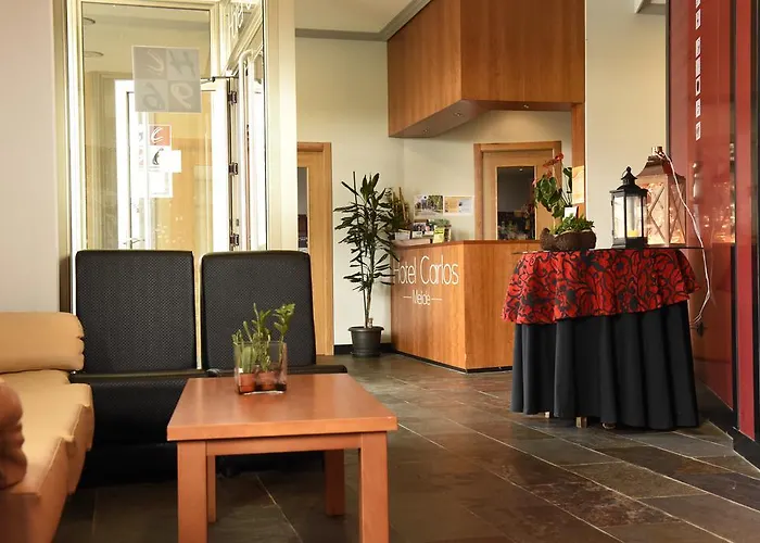 Otel Hotel & Spa Carlos Desde 1996 *