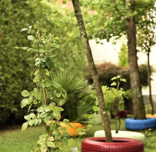 Carlos 96 Ξενοδοχείο Melide