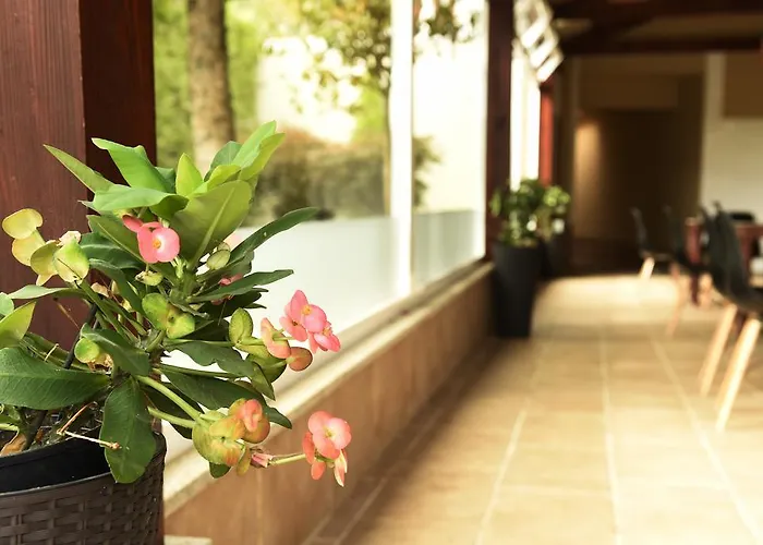 Hotel & Spa Carlos Desde 1996 Otel *